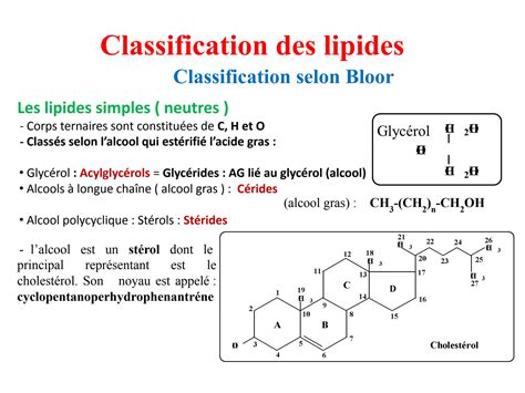 SOLUTION 02 Biochimie R Vision Lipides Pptx Studypool