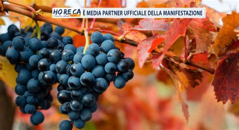 LEmilia Romagna Protagonista A Slow Wine Fair 2024 Notizie Sulla