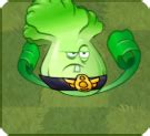 Bonk Choy | Plants vs. Zombies 2: Project ECLISE Wiki | Fandom