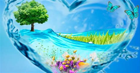 Конспект заняття «Вода- це життя» | Конспект. Дошкілля
