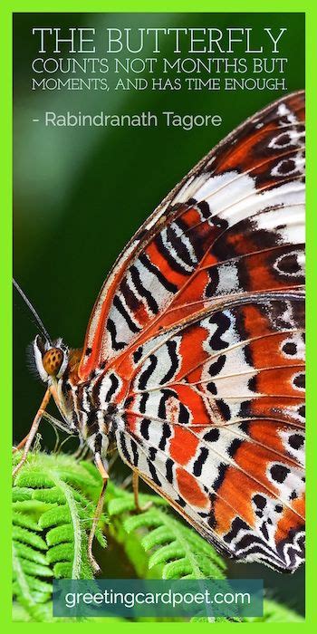 63 Time Quotes To Help You Make Minutes Count Butterfly Lacewing