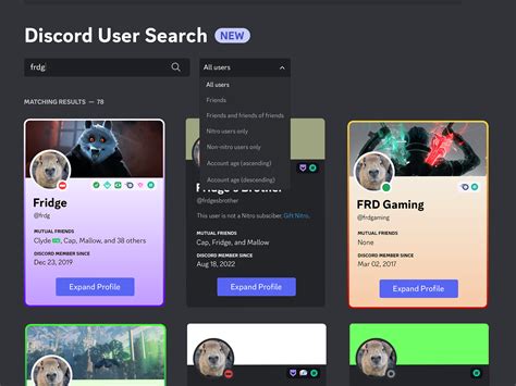 Discord User Search By Fridge On Dribbble