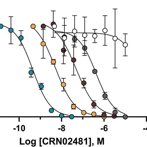 Selectivity Of The Nonpeptide Somatostatin Receptor 5 SST5 Agonist