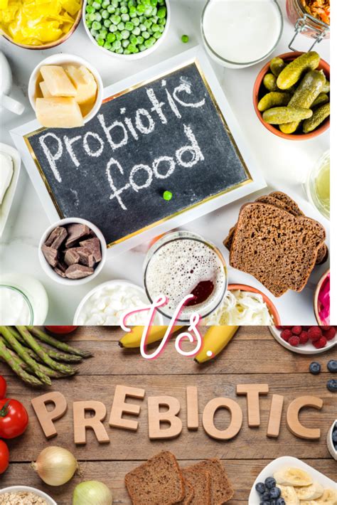 The Ultimate Guide To Explain Prebiotic Vs Probiotic