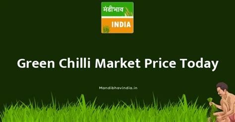 Green Chilli Market Prices Today 21 January 2025