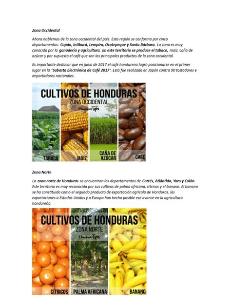 Cultivos De Honduras Por Zona Pdf Honduras Agricultura