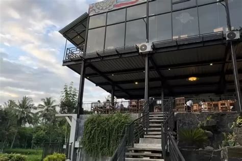 Cafe Modern di Tengah Hamparan Sawah di Jember, Sajikan Menu Asia ...
