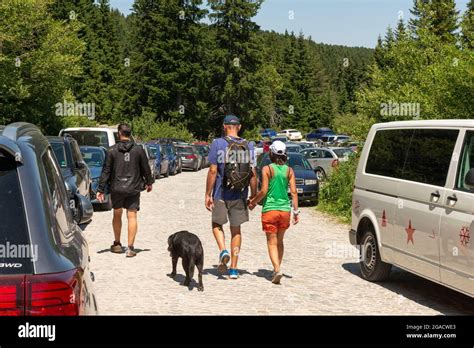Hiking In Bulgaria Parked Cars By Hiking Trails Area In Vitosha
