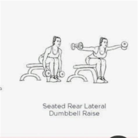 Seated Rear Lateral Dumbbell Raise by Caroline Wambani - Exercise How ...