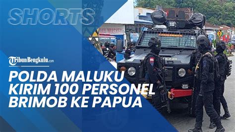 Polda Maluku Kirim 100 Personel Brimob Ke Papua Untuk Bantu Amankan