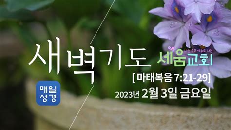 2023년 2월3일 매일성경qt 새벽예배 [나는 죽고 예수로 사는 시드니 세움교회] 마태복음 7 21 29 Youtube