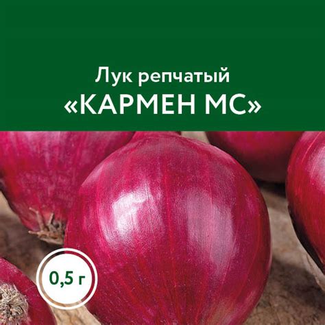 Лук репчатый «Кармен МС»