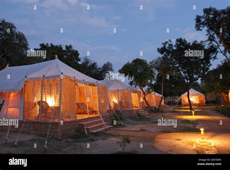 Tents Illuminated From The Inside Royal Jodhpur Camp In Mool Sagar