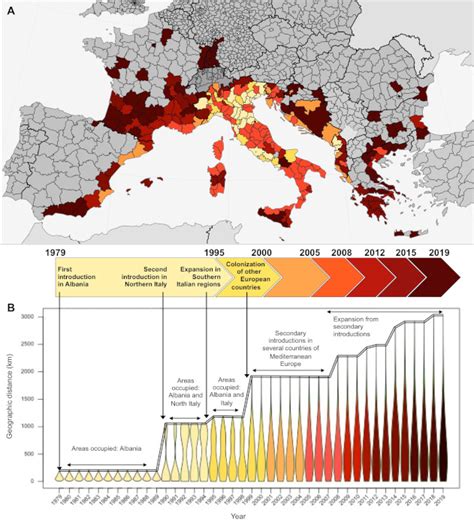 Why is the tiger mosquito so invasive? - Encyclopedia of the Environment