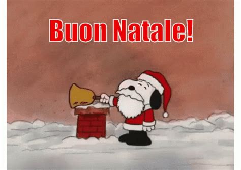 Buona Vigilia Di Natale 2024 IMMAGINI E FRASI Per Gli Auguri