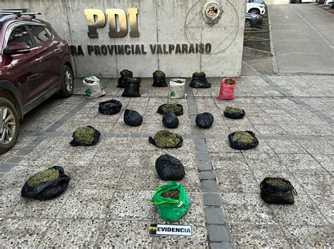 Pdi Detiene A Banda Criminal Dedicada Al Cutivo De Marihuana En Los