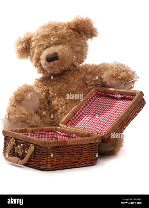 Teddy Bears Picnic Hi Res Stock Photography And Images Alamy