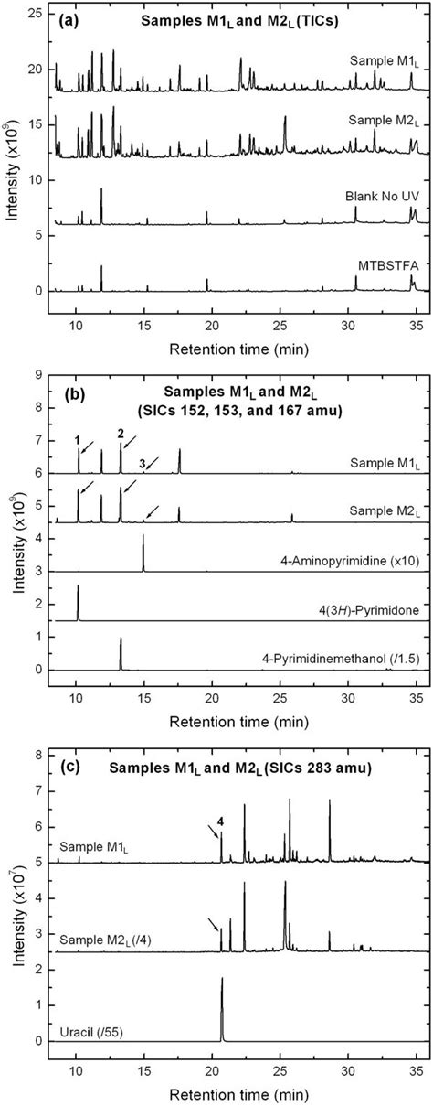 A From Top To Bottom GC MS Total Ion Chromatograms TICs Of A