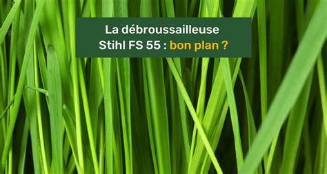 La Débroussailleuse Stihl Fs 55 Arnaque Ou Bon Plan En 2025