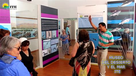 MUSEO DEL DESIERTO Y EL MAR EN ITE YouTube