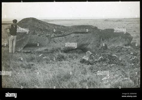 Oc G T 1463 Mana Expedition To Easter Island Stock Photo Alamy