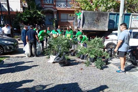 San Isidro Afirma Que La Empresa Superfly Cannabis Medicinal No Estaba