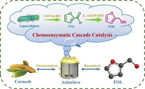 A Chemoenzymatic Cascade Strategy For Synthesis Of Furfuryl Alcohol