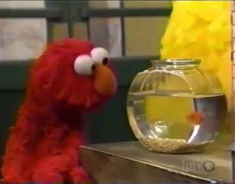 Elmo And Dorothy Sesame Street Elmo Inner Child