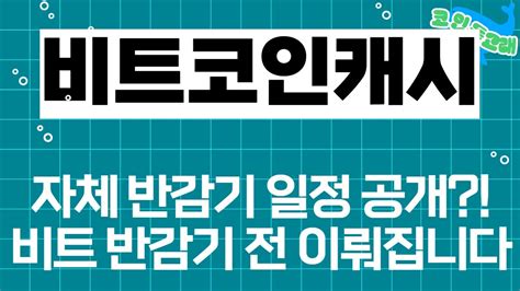 비트코인캐시 코인 분석 자체 반감기 일정 공개 비트코인 반감기 전에 이뤄집니다 비트코인캐시대응 비트코인캐시전망 비트