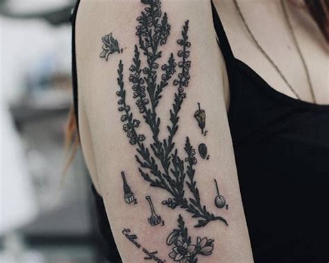 Scottish Heather Flower Tattoo Meaning Best Flower Site