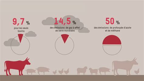 La Viande Et L Environnement YouTube