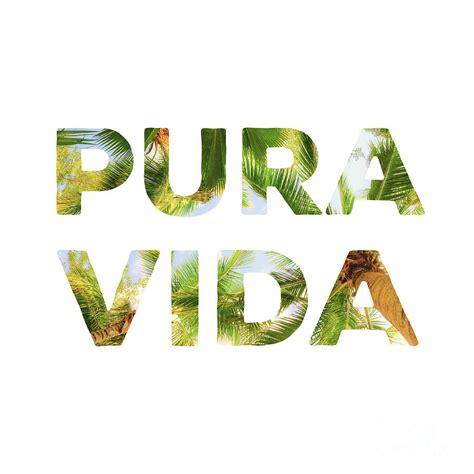 Pura Vida Costa Rica Palm Trees Digital Art By Erin Morris Fine Art