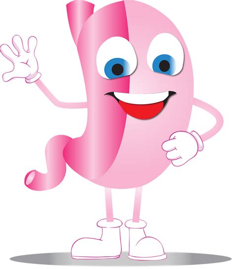 Download Gastric Sleeve Bariatric Stomach Royalty Free Vector