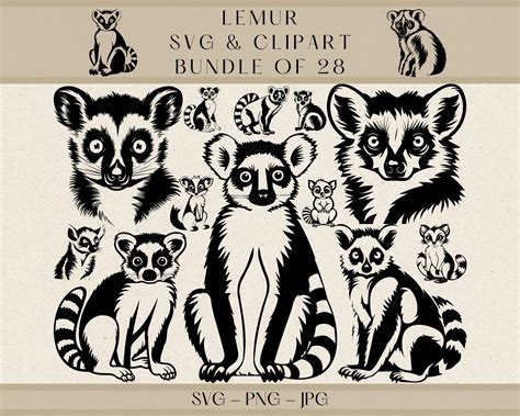 Lemur Svg Lemur Png Lemur Clipart Lemur Vector Lemur Silhouette