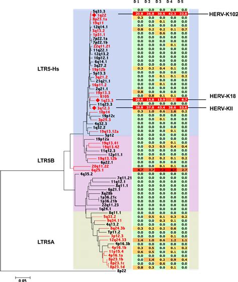 Herv K Hml Env Phylogenetic Tree Combined With A Heat Map Of Their