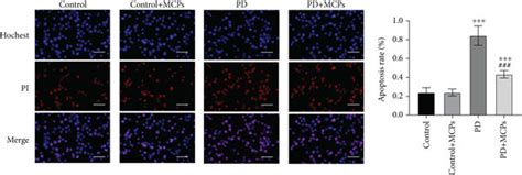 Mcps Inhibit Mpp Induced Apoptosis And Reduce Oxidative Stress A