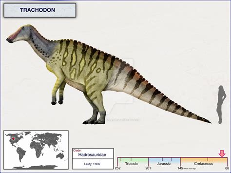 Trachodon | Dinopedia | Fandom