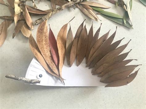 Australian Animal Christmas Craft Echidna Decoration