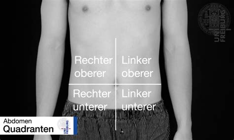 Modul Untersuchung Des Abdomens U Kurs