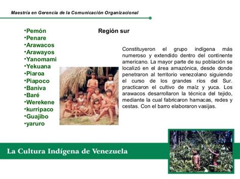 La Cultura Indigena De Venezuela