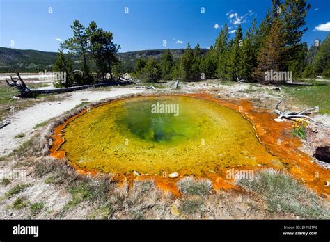 Sprite pool hi-res stock photography and images - Alamy