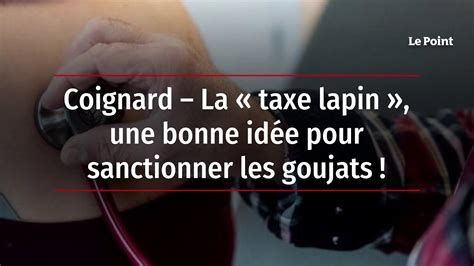 Coignard La Taxe Lapin Une Bonne Id E Pour Sanctionner Les