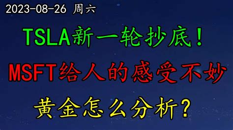 美股 分析美联储政策的走向TSLA新一轮抄底MSFT给人的感受不妙黄金怎么分析SOXL如何预期又来一个大型IPODKNG