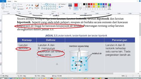 Larutan Isotonik Hipotonik Dan Hipertonik YouTube