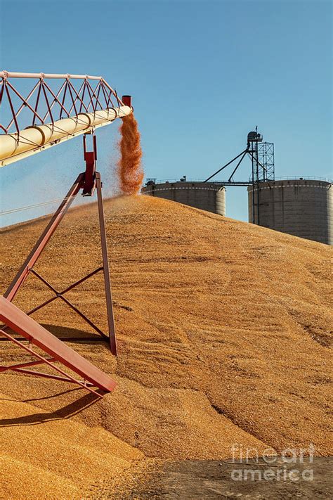 Corn Farming Photograph By Jim Westscience Photo Library Fine Art