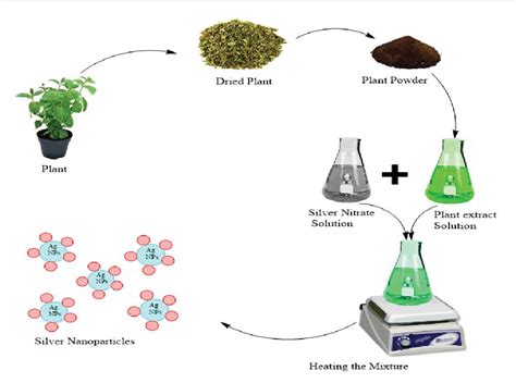 Bio Synthesized Silver Nanoparticles Using Different Plant Extracts