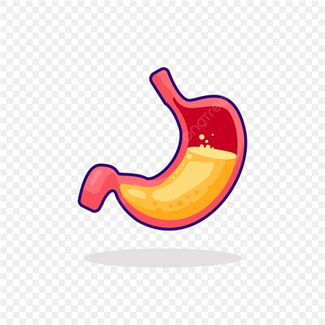 Stomach Acid Vector Art Png Vector Stock Illustration Acid Liquid