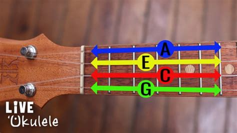 Ukulele Tuning Types And How To Guide Orchestra Central 45 Off