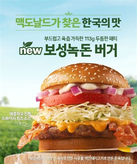 보성녹차 먹인 돼지로 만든 햄버거 맛보세요 남도방송