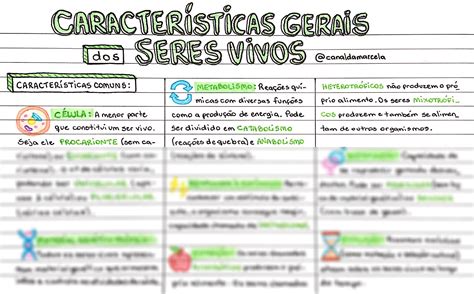 Solution Biologia Caracter Sticas Gerais Dos Seres Vivos Studypool